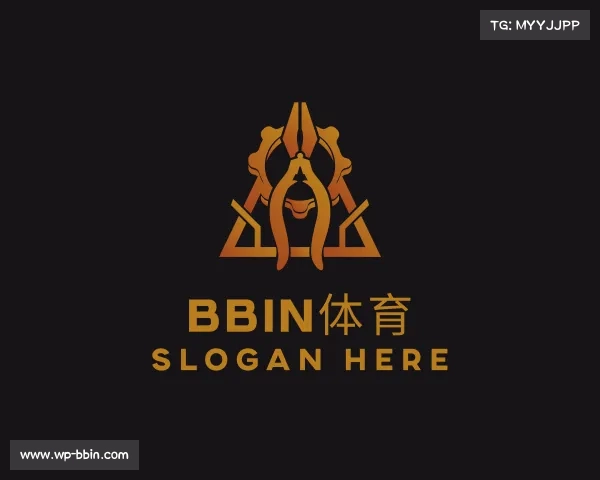 了解BBIN体育